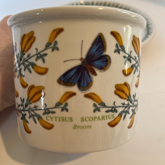 Portmeirion Botanic Gardens Large Breakfast Cup and Saucer Vintage - Picture 3 of 8